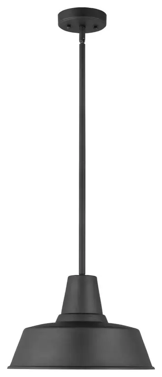 Barn Light One Light Outdoor Pendant in Black