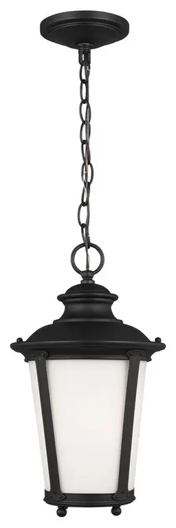 Cape May One Light Outdoor Pendant in Black