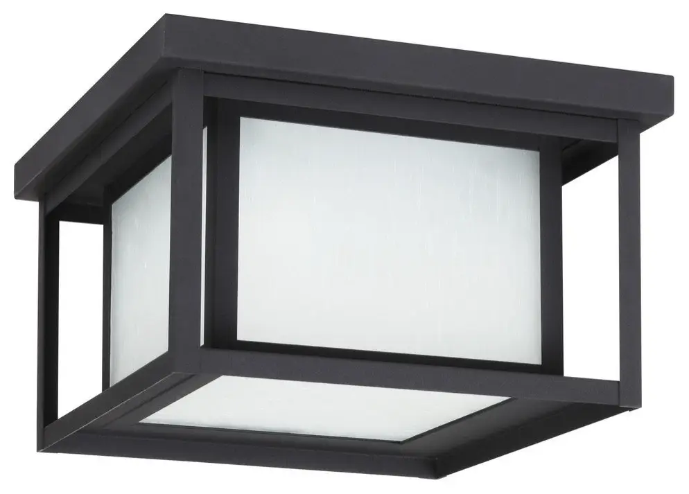 Hunnington 2-Light Outdoor Flush Mount, Black