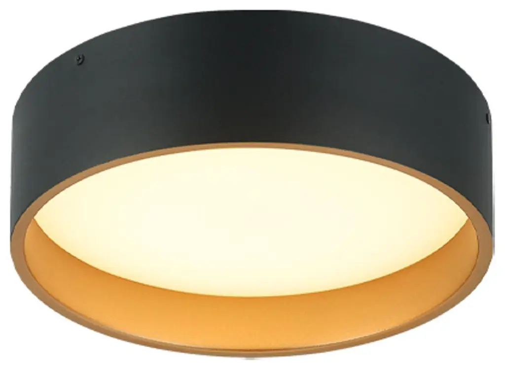 Novalee 1 Light Flush Mount, Matte Black