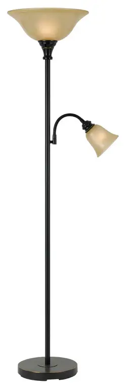 Signature 2 Light Floor Lamp in Dark Bronze